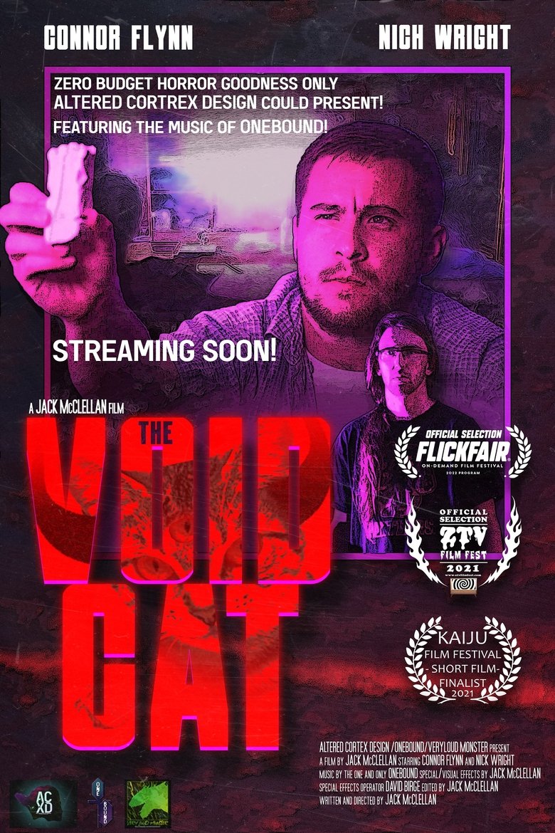 The Void Cat main poster