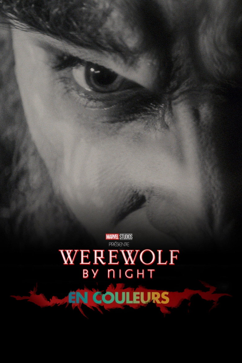 Póster la Película