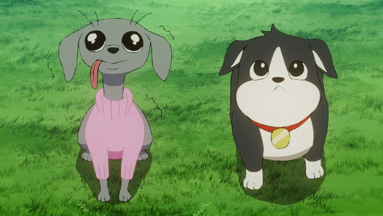 ADS -Aim Down Sights-