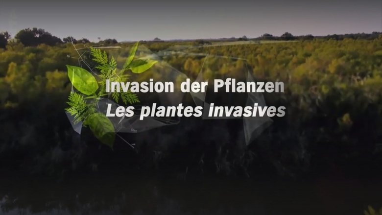 Invasion der Pflanzen - Gefahr für Umwelt und Mensch ? main backdrop