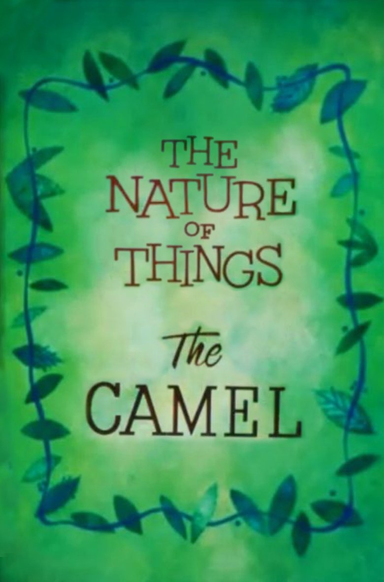 The Nature of Things: The Camel main poster