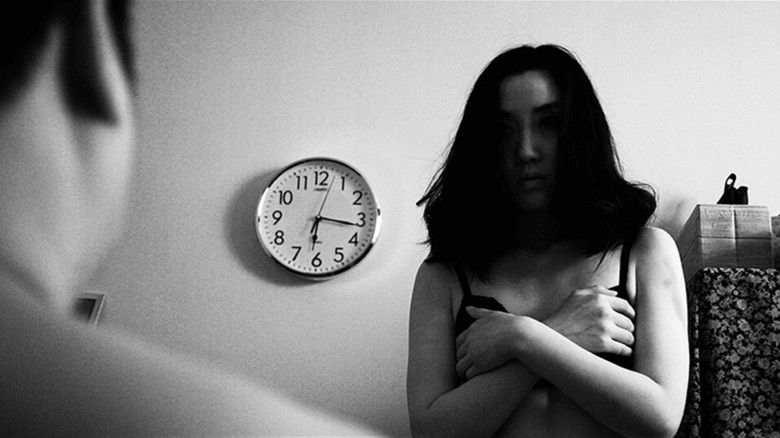 Gallery image from tBxnqUHgAjD6oXlJcAITdn25lCP.jpg