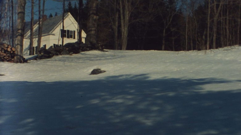 Gallery image from tC88dluzEqjqCtENlUTFeIoURns.jpg