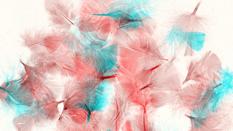 Les oiseaux galeri 1