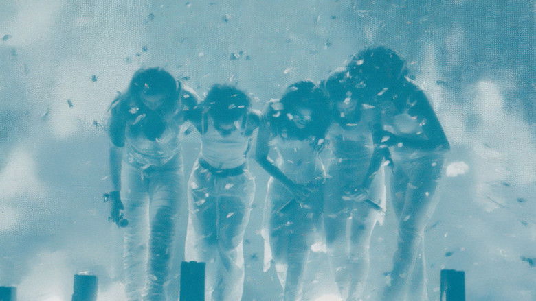 Gallery image from tCS9OcnaiUa5sqmHtJtfp7qutwH.jpg