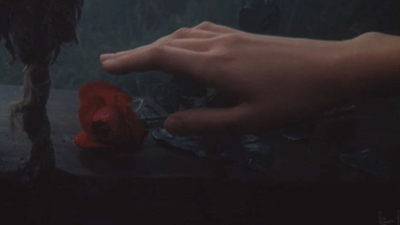 Image d'arrière-plan 3 du film Сад желаний