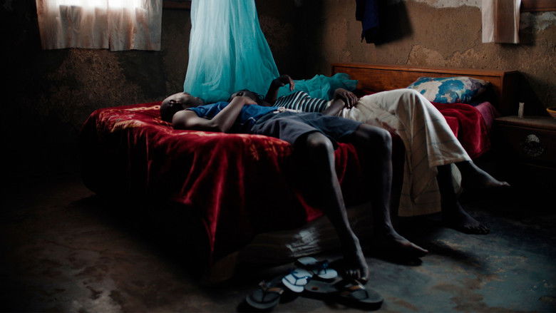 Gallery image from tCfvKDvV2FP4OLssPDVytyUDXro.jpg