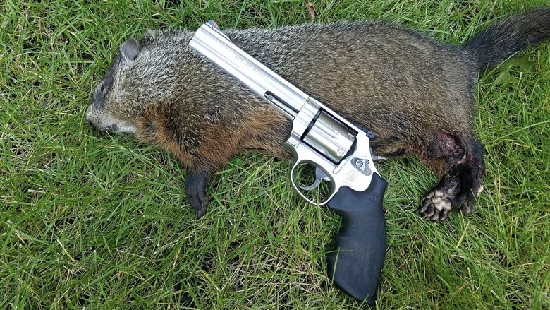 Mr. Groundhog meets Santa Claus (2012)