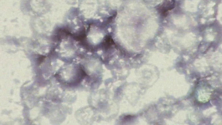 Gallery image from tESAKdicctagJTCmcLprMnObzAd.jpg