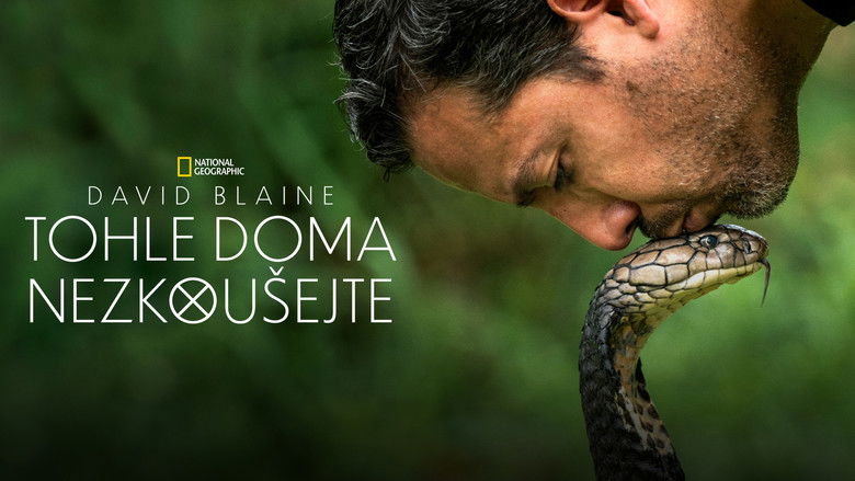 Gallery image from tEov6aULM3PkpdC7blvnKYIUI2A.jpg