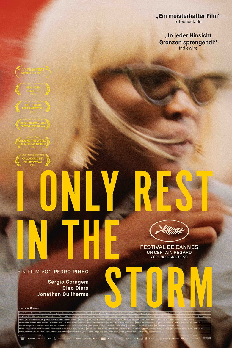 Filmplakat zu I Only Rest in the Storm