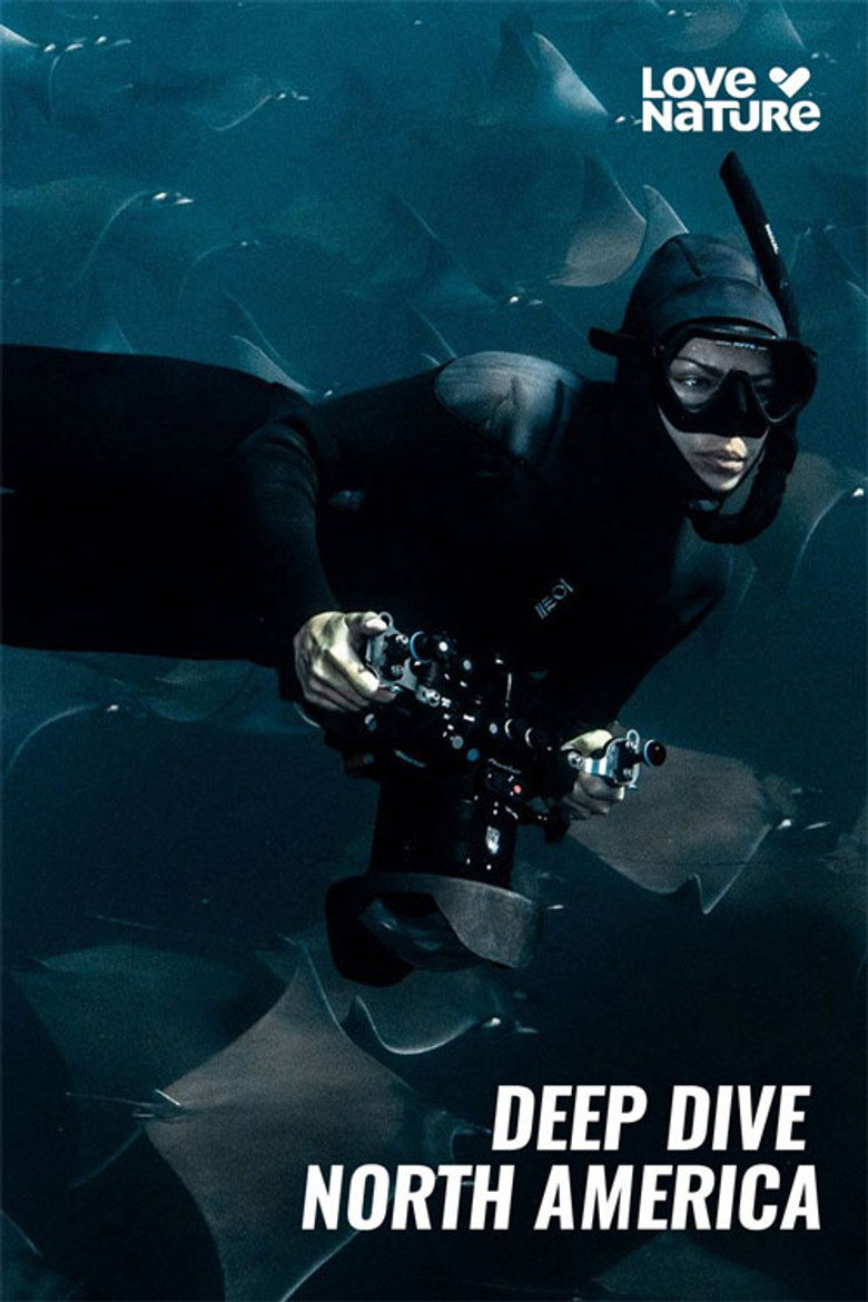 Official poster for Deep Dive North America