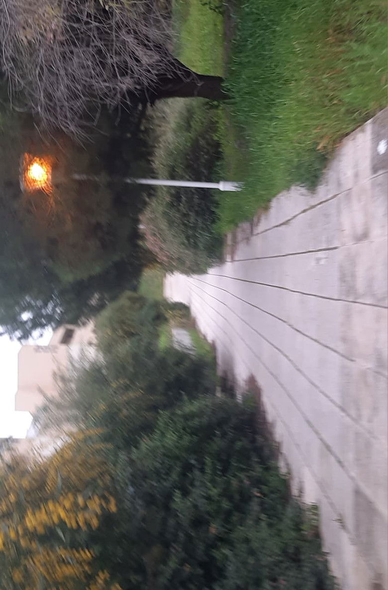 Imatge de Adventures of an empty university