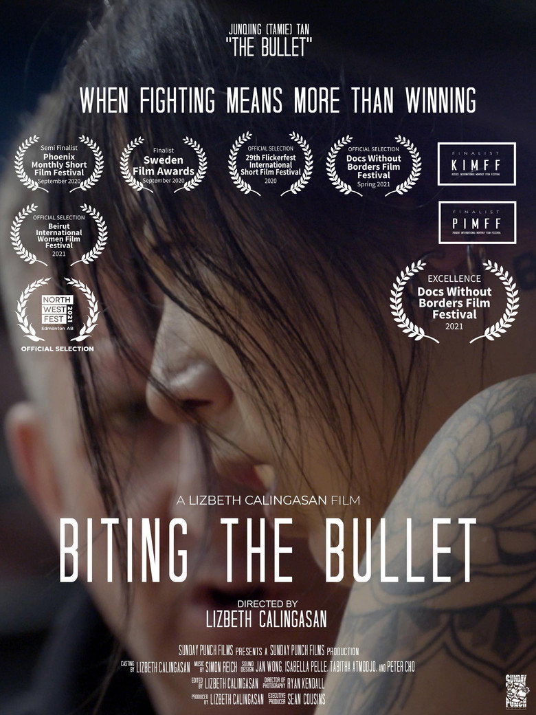 Biting The Bullet background