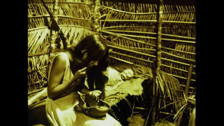 Gallery image from tGO2g8RYtO3FyEXz6i93KWu2fkK.jpg