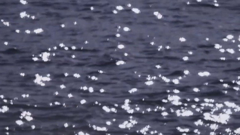 Imatge de Mémoire de mer