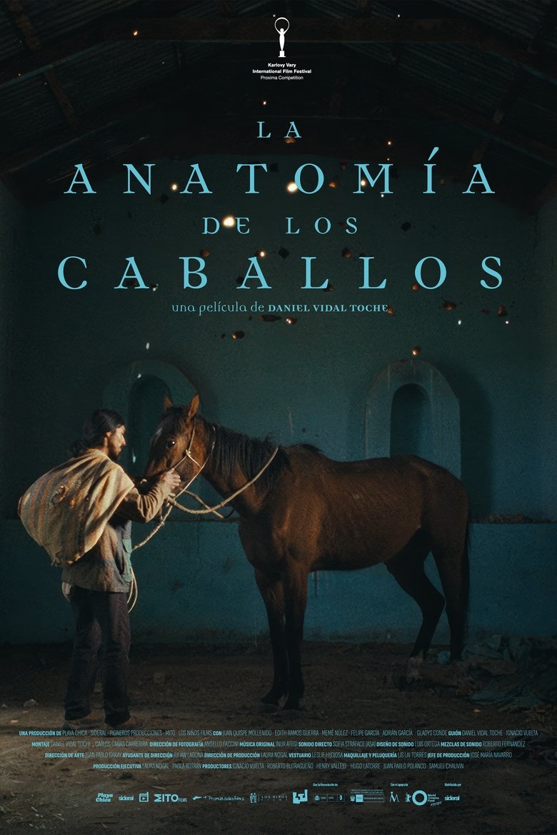 La anatomía de los caballos (2025)