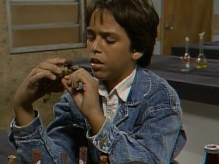 Still image for La Pandilla de los 7 season 1 episode 84: Episode 84 Still image for La Pandilla de los 7 season 1 episode 84: Episode 84