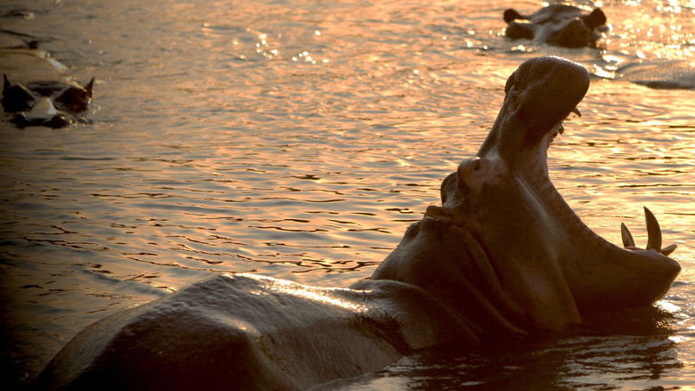 Still image for Wild Congo season 1 episode 1: River of Monsters