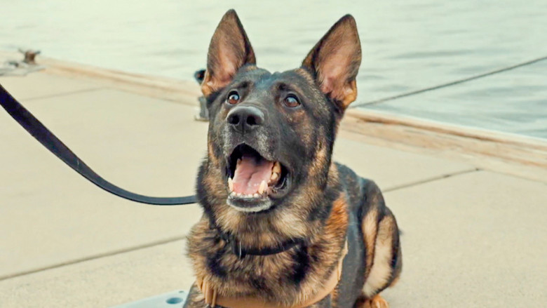 Still image for Contraband: Seized at Sea season 1 episode 10: Better Safe Than Sorry Still image for Contraband: Seized at Sea season 1 episode 10: Better Safe Than Sorry