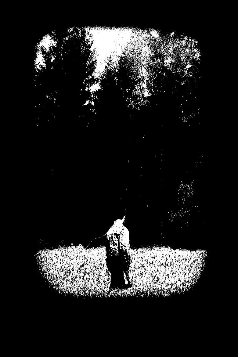 No One in the Woods