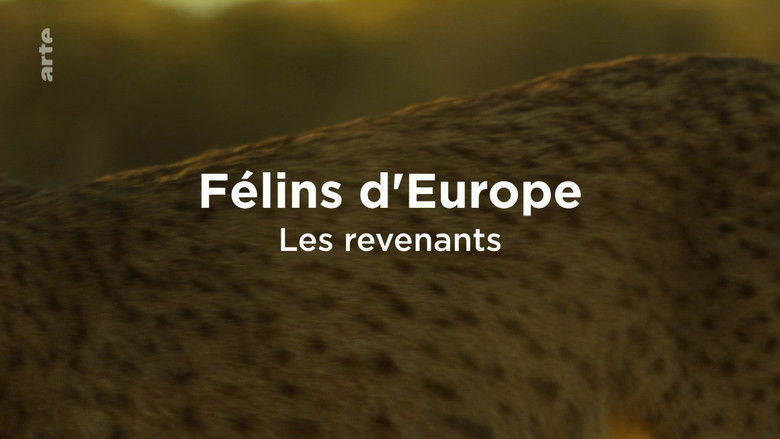 Still image for Chats et chiens sauvages season 1 episode 2: Episode 2