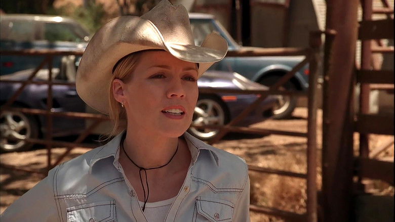 Image d'arrière-plan 4 du film The Last Cowboy