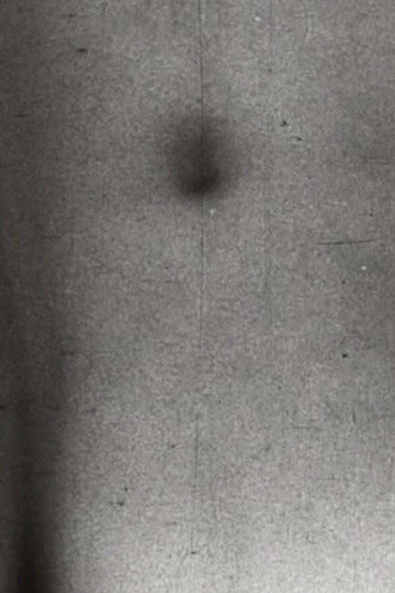 Paillard 16 background