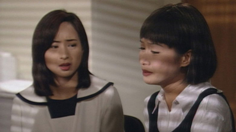 真情 Temporada 1 Episodio 247 Cuevana 3