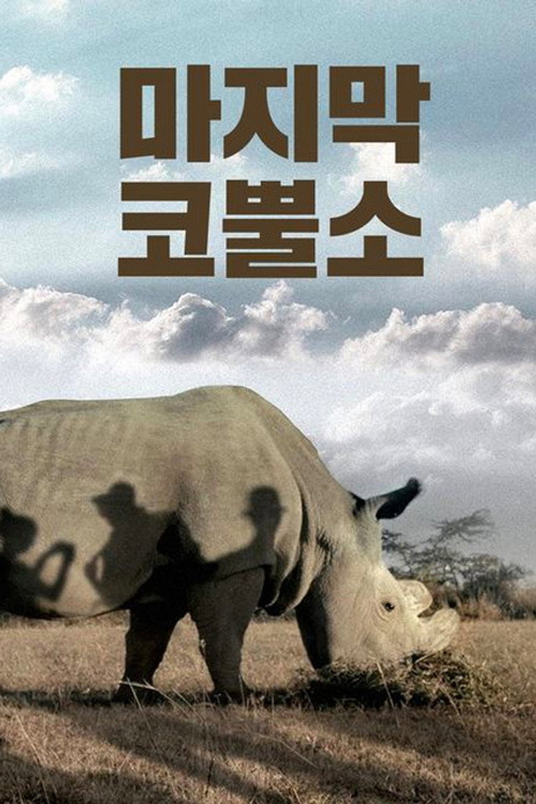 마지막 코뿔소(The Last Male on Earth) poster