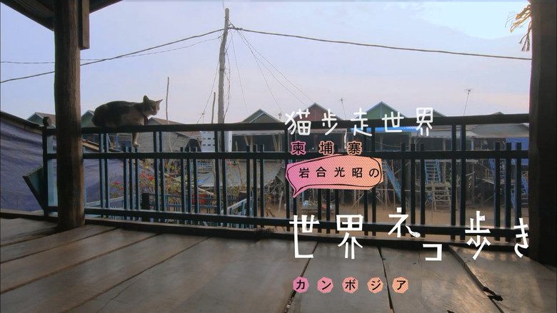 Still image for Mitsuaki Iwago's World “Cats” Travelogue season 1 episode 60: Cambodia Still image for Mitsuaki Iwago's World “Cats” Travelogue season 1 episode 60: Cambodia