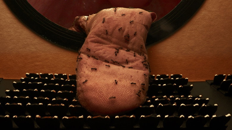 Imatge de Kieslers Körper