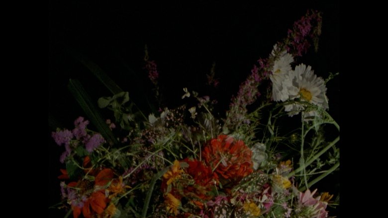 Gallery image from tORHCHMZh1XftvZbxsfc11fqdNA.jpg