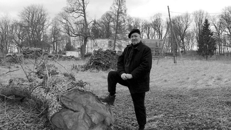 Definition of Madness