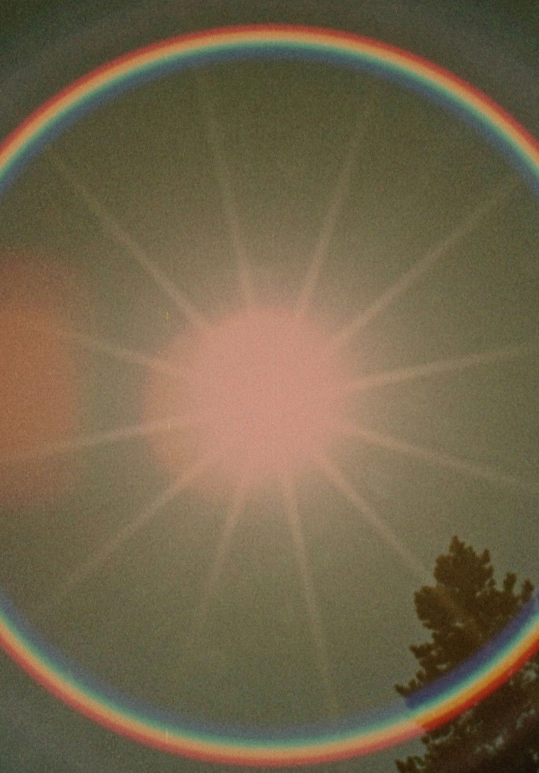 Imatge de Star Garden