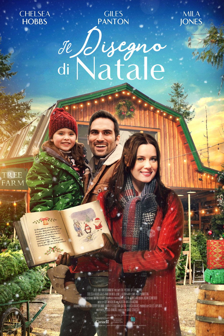 Copertina di Il disegno di Natale