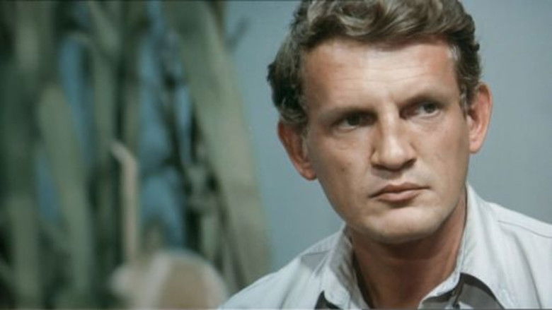 Znaki+szczeg%C3%B3lne