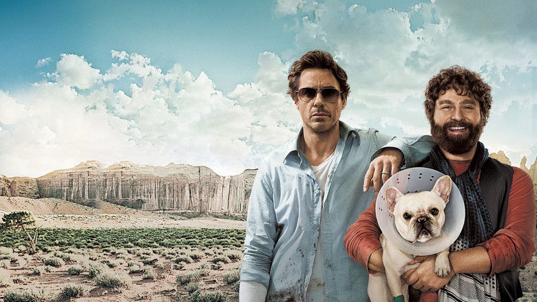 Встигнути до / Due Date (2010) TMDB backdrop