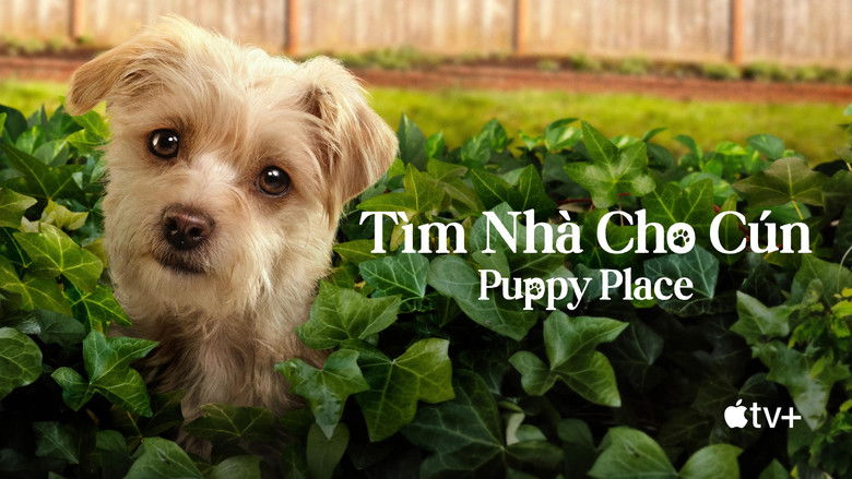 Gallery image from tQPCIdos7Z1nA6UmPBK0wV9Syek.jpg