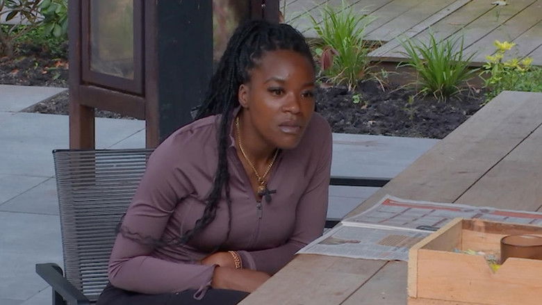 Still image for De Bondgenoten season 1 episode 175: Episode 175