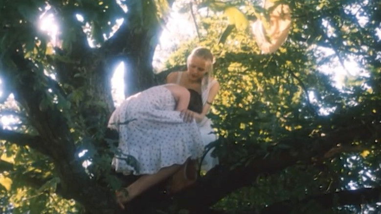 Image d'arrière-plan 5 du film Сад желаний