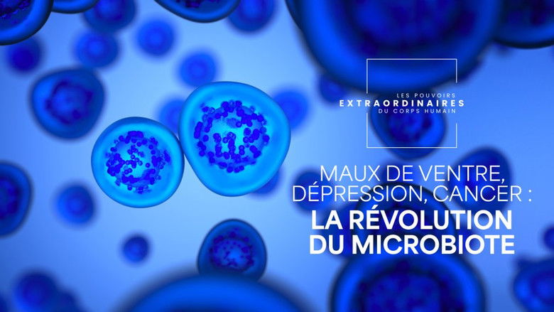 Still image for Les Pouvoirs extraordinaires du corps humain season 1 episode 36: Episode 36