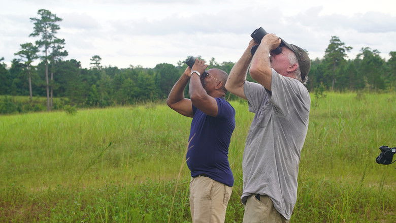 Still image for Extraordinary Birder with Christian Cooper season 1 episode 6: Alabama Still image for Extraordinary Birder with Christian Cooper season 1 episode 6: Alabama