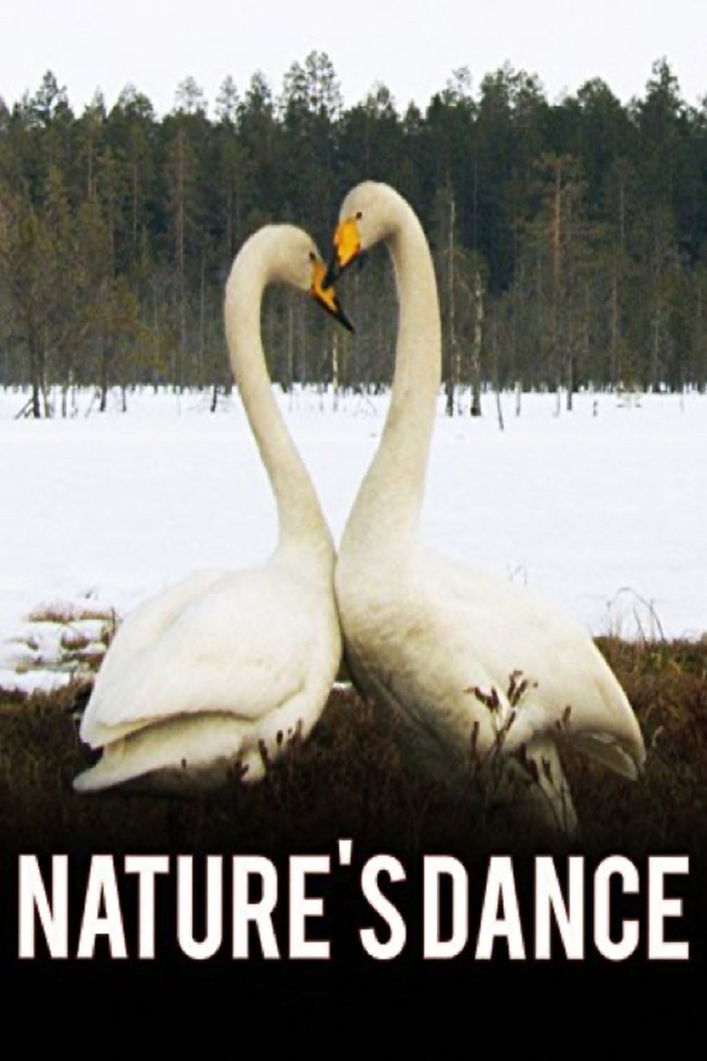 Nature's Dance main poster