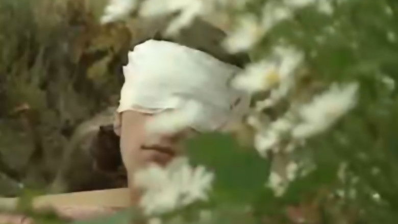 Image d'arrière-plan 6 du film The Action Art of Hermann Nitsch from Past to Present