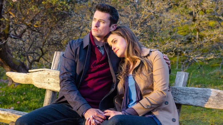 Gallery image from tSfDrYkvcYrWCMHLtOw0SCv449g.jpg