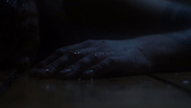 Gallery image from tShwaqiJDnRpwIPiHd7cAKNyRHr.jpg