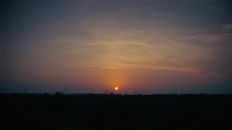 Film backdrop