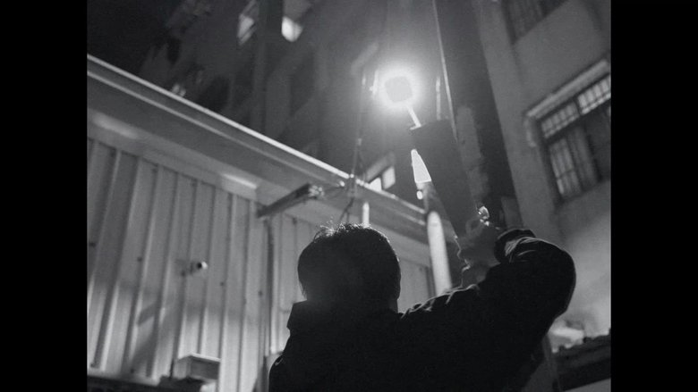 Gallery image from tT5nDfeaW6oShX0h0TSVInc6aaK.jpg