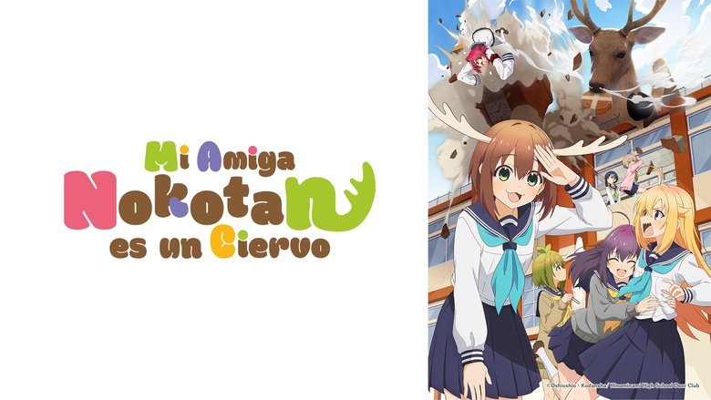 Gallery image from tTb3jpePM19JLcaCNi6tS5v7YmZ.jpg